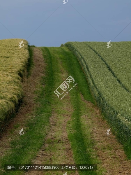 塍-匯圖網(wǎng) www.fosd68.com 塍