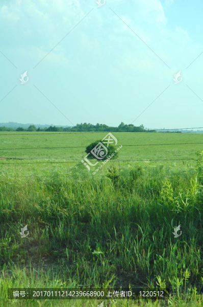 開(kāi)放的國(guó)家