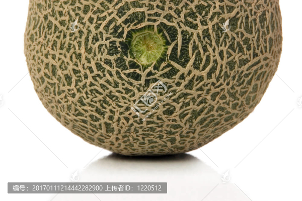 甜瓜-匯圖網(wǎng) www.fosd68.com 甜瓜