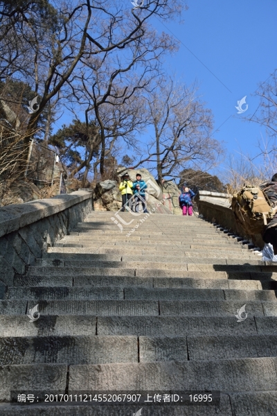 泰山