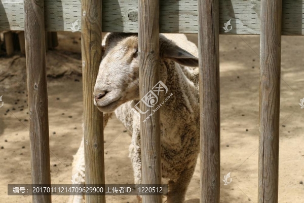 在一支鋼筆2