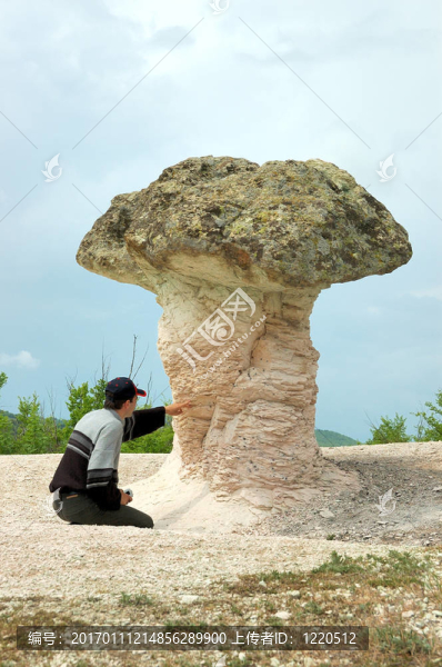 保加利亞石蘑菇