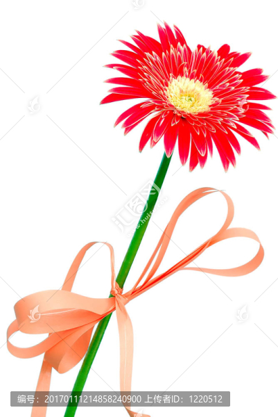 紅太陽