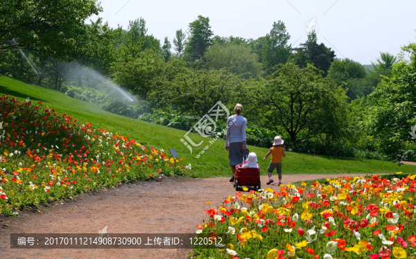 在公園里散步