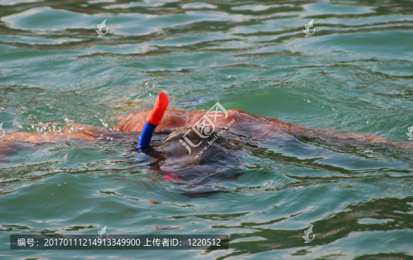 游泳運動員