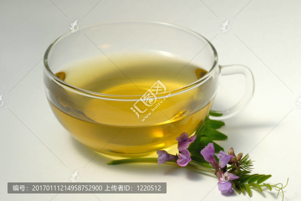 架線蕁麻茶