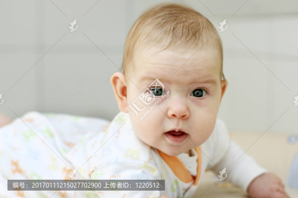 寶貝-匯圖網(wǎng) www.fosd68.com 寶貝