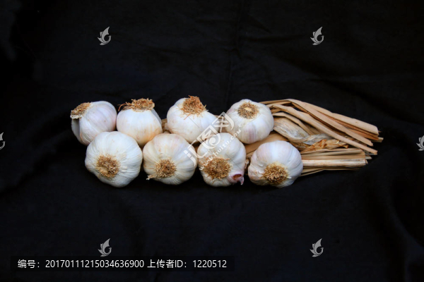 蒜頭