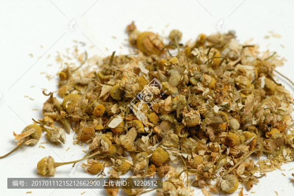 干燥的洋甘菊花