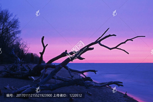 日出