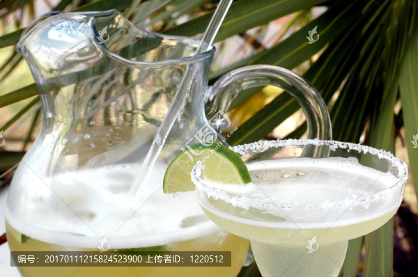 瑪格麗塔