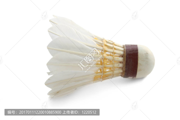 荷葉邊