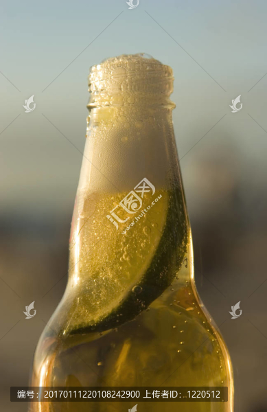 墨西哥啤酒