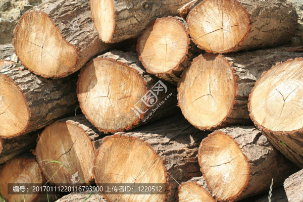 疊Wood