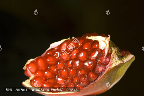黑石榴