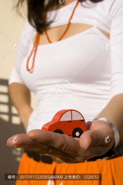 顯示我的新車2