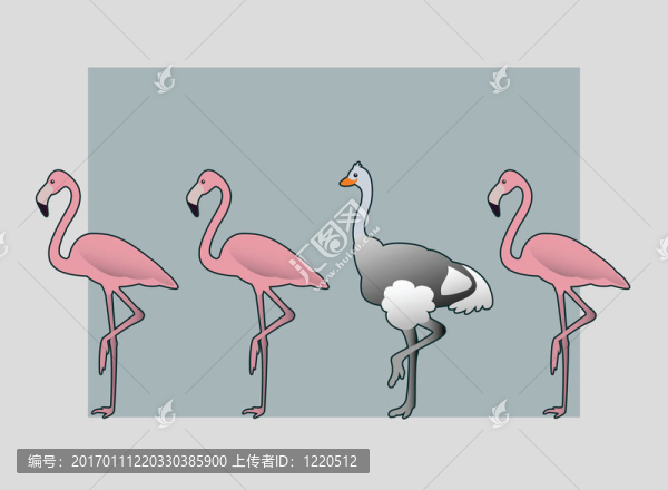 鴕鳥(niǎo)和火烈鳥(niǎo)