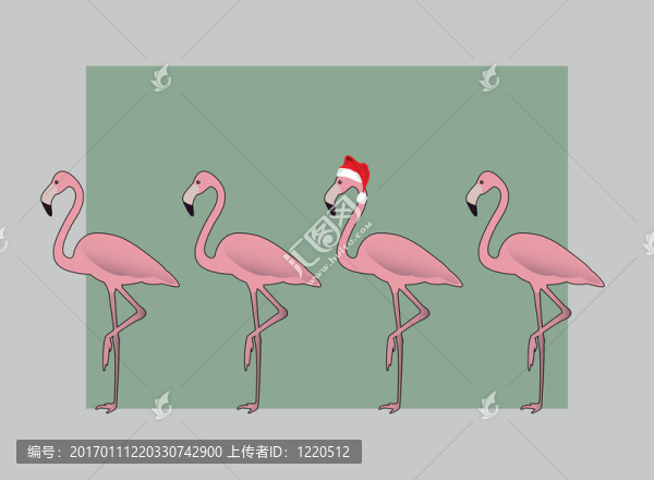 假日的火烈鳥