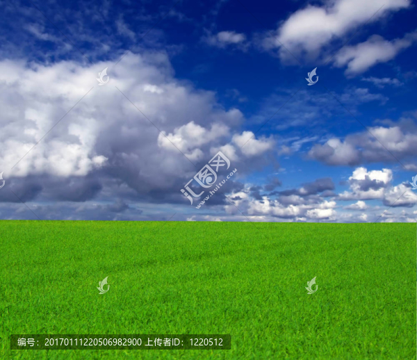 夏天的夢