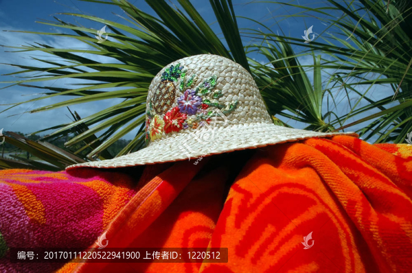 在海灘上