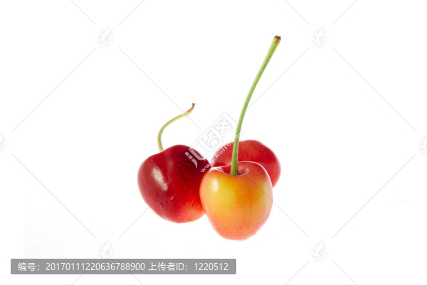 三櫻桃