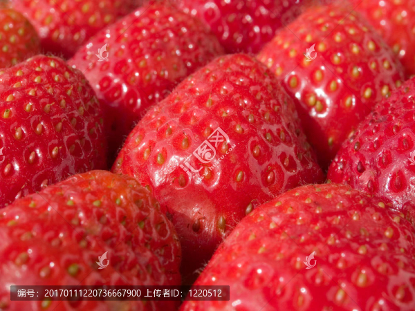 草莓有機(jī)背景