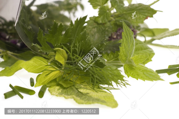 切碎新鮮香草。