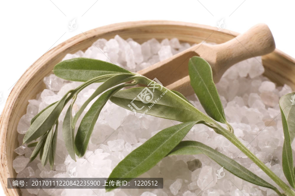 SPA。沐浴鹽和橄欖枝