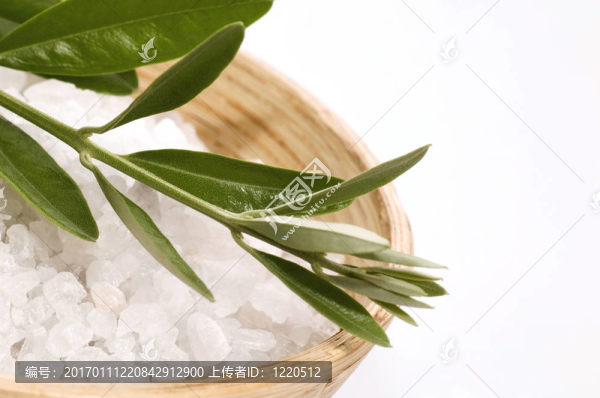 SPA。沐浴鹽和橄欖枝