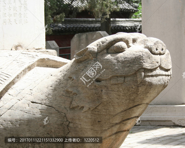 古董石獅子龜