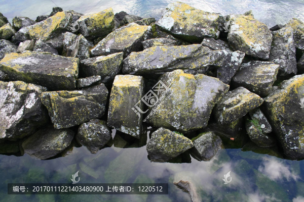 長滿青苔的巖石