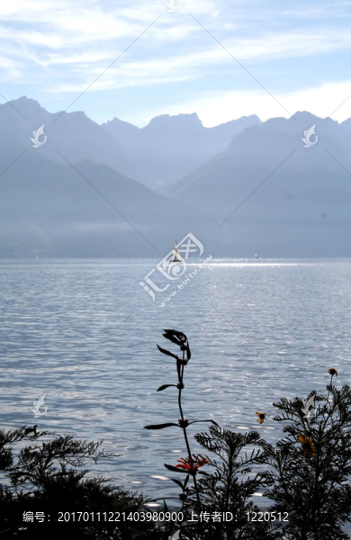 湖上的游艇