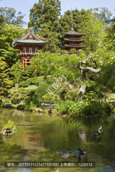 日本花園塔