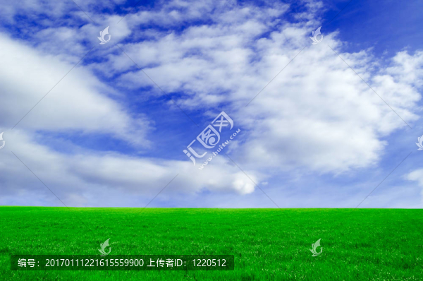 綠色領(lǐng)域。