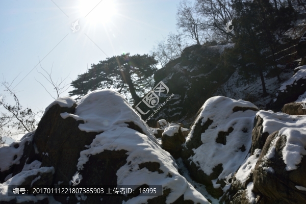泰山
