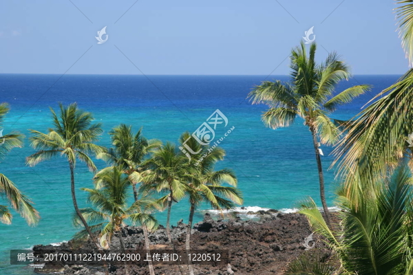 夏威夷科納海灘