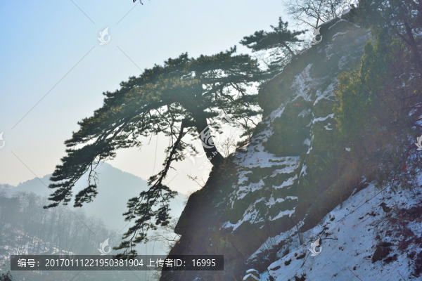 泰山