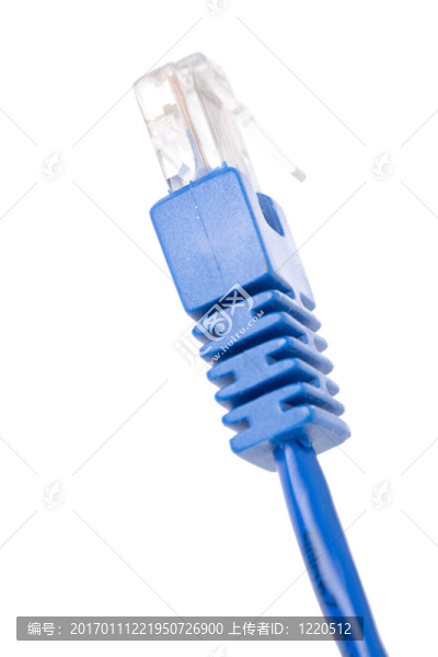 網(wǎng)絡(luò)連接插頭