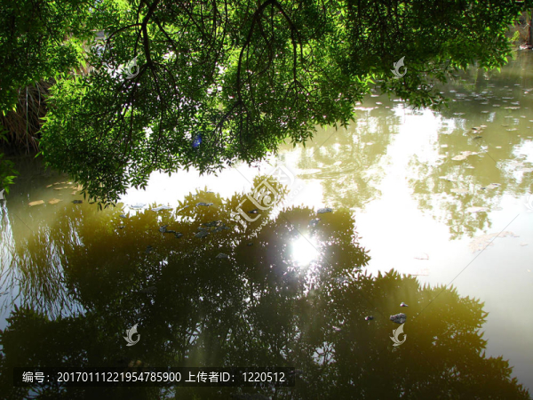 湖后的夏日日落