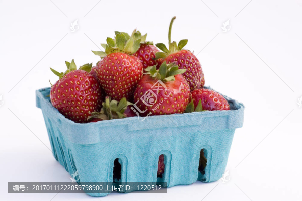 新鮮草莓