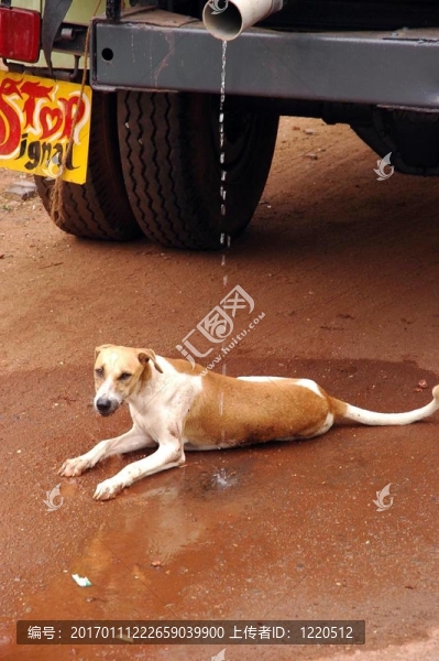 全球變暖-匯圖網(wǎng) www.fosd68.com 全球變暖