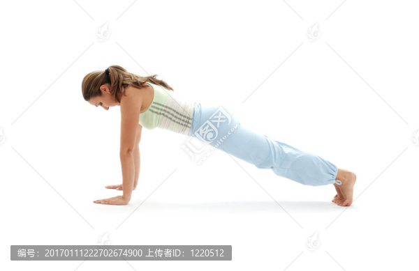 chaturanga,dandasana四肢人員構(gòu)成