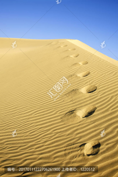 沙漠的足跡