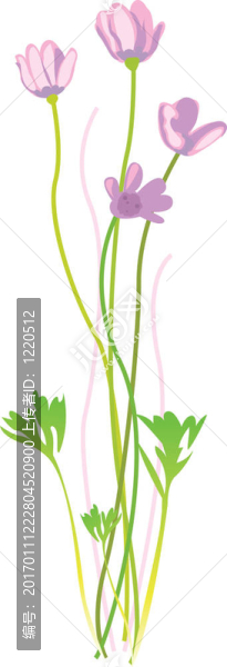 復(fù)古花卉插圖