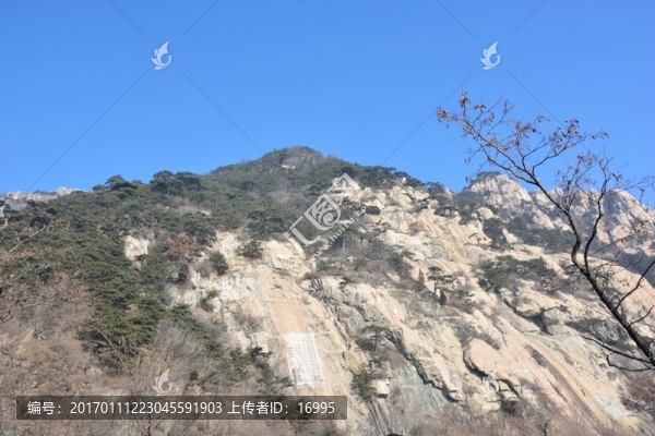 泰山