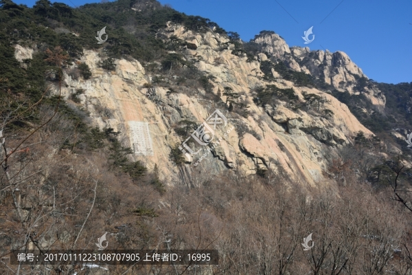 泰山
