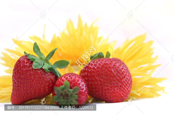太陽之吻