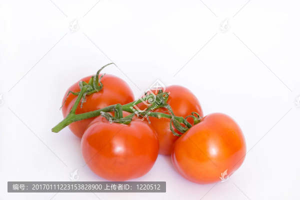 番茄