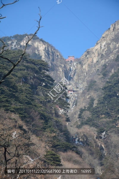 泰山