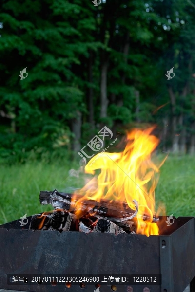 Mangal
